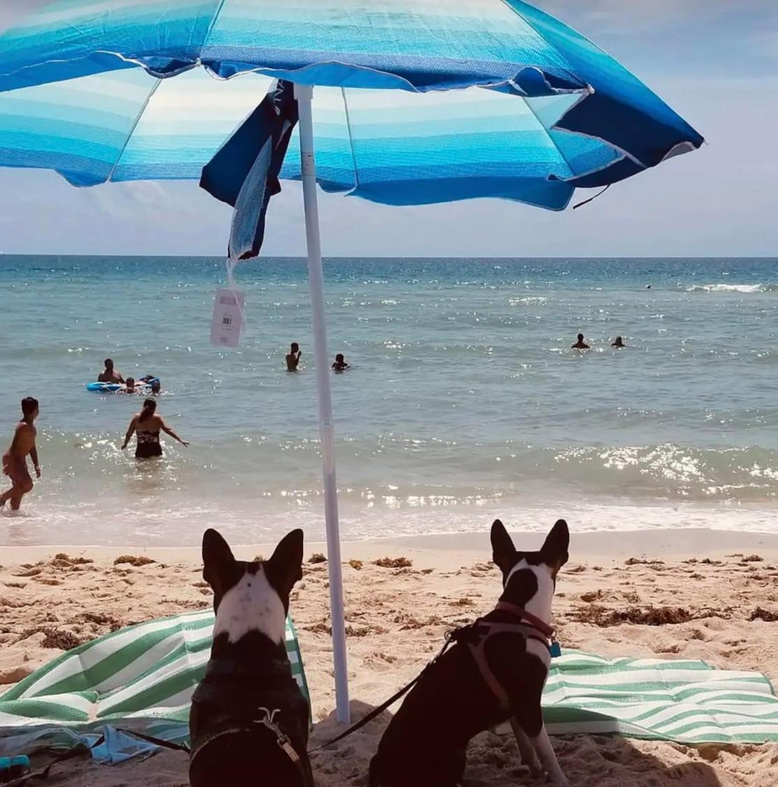 North Beach Steps To Sea Miami Apartment With Free Parking Family And Pet Friendly ไมอามีบีช ภายนอก รูปภาพ