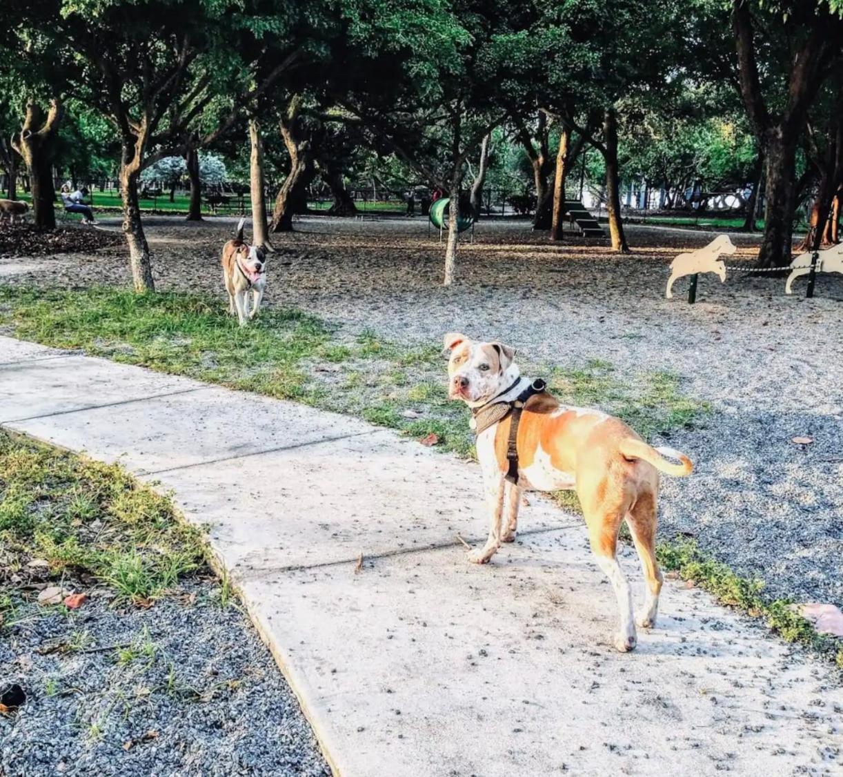 North Beach Steps To Sea Miami Apartment With Free Parking Family And Pet Friendly ไมอามีบีช ภายนอก รูปภาพ